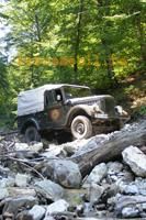 aro - Rover - Seria Dacia